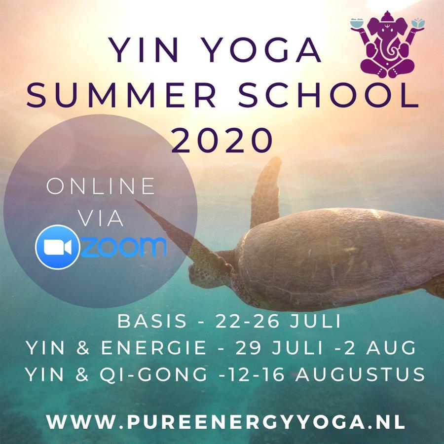 Kopie van Kopie van Yin Yoga summer school insta 2020 (1).png